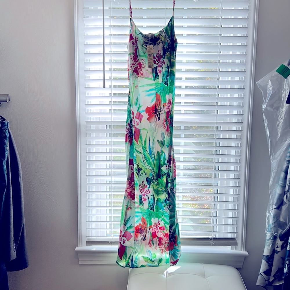 Anatomie SILK slip dress NWT